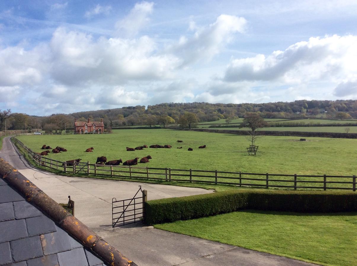 Moors Farmhouse Bed and Breakfast East Knoyle Exterior foto